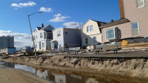 credit: Esperanza Cortés